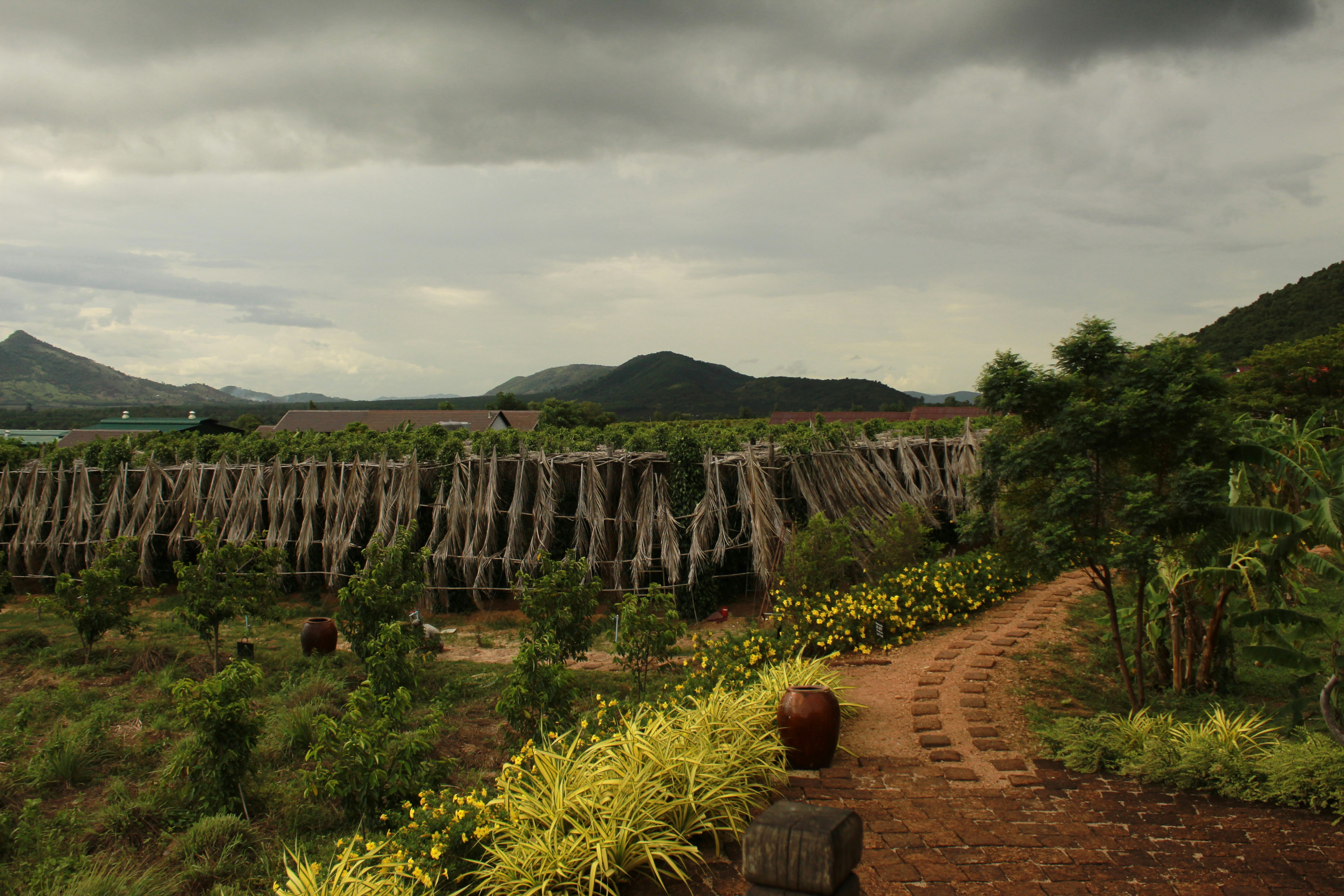 Bokor Mountain ruins